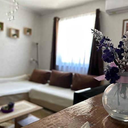 Levendula Vendeghaz Villa Balatonföldvár Exteriör bild